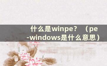 什么是winpe？ （pe-windows是什么意思）